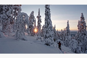 Lappland 