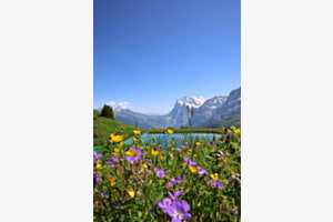 Grosse Scheidegg