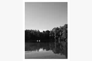 Schwanensee... Schwanensee...
