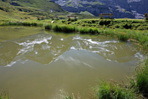 Kl. Scheidegg See Jungfrauregion