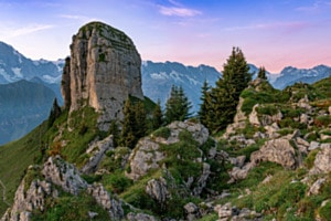 Schynige Platte