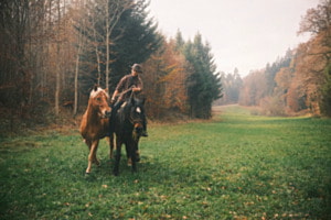 Rider in the fog