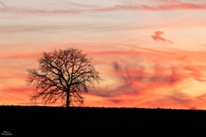 Crépuscule 