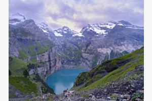 Wildbegegnung am See
