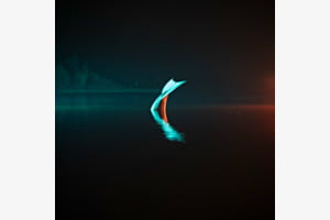 Fluke
