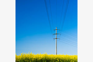 Strommast auf Rapsfeld