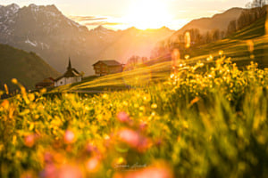 Goldener Moment
