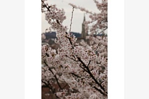 Frühling