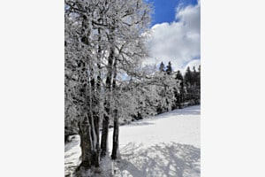Winterzauber