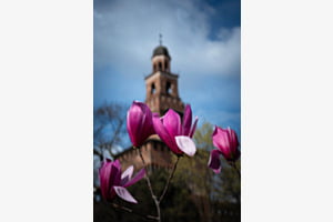 Frühling in Mailand 