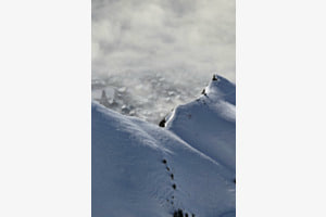 Berg mit dorf brienz