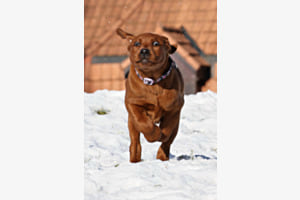Juna beim Sprint Juna beim Sprint