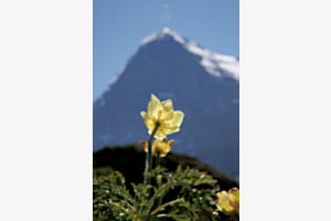 Eiger nord wand Bokeh