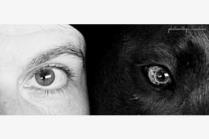 Auge um Auge