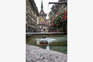 Alles hat Platz in Bern 