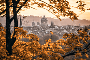 City