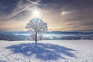 Wintersonne