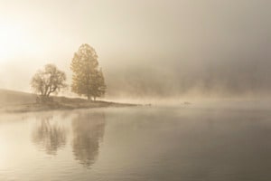 Im Nebel 