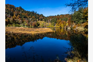 Nonnenmattweiher im Schwarzwald