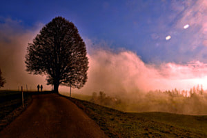 Verschwinden im Nebel