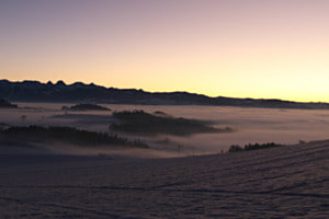 Nebel im Abendlicht