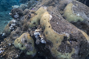 Unterwasser Strukturen 