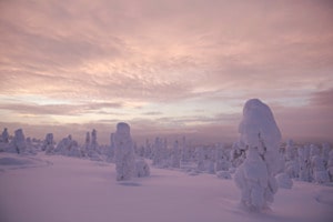 Winter in Finnland