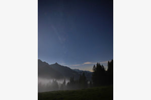 Nachtnebel