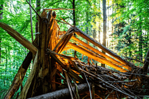 Naturgewalt