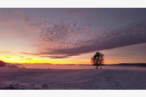 Im Glanz der Abendsonne