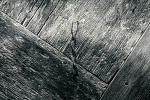 Holz