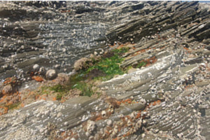 Felsen-Kunst