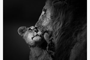 Vater Sohn Liebe