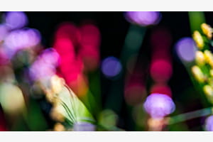 Bokeh in verschiedenen Farben
