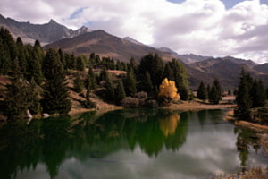 Herbst Refkletion 