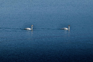 Unterwegs auf dem See