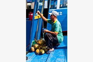 Maler im Mekongdelta