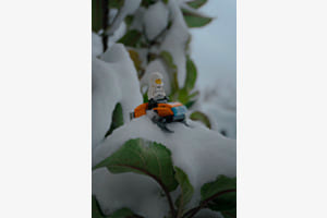 Kindheit im Schnee