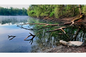 Idylle am Baggersee