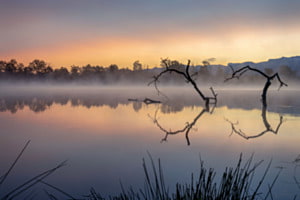 Abends am See