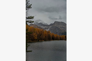 Goldener Herbst