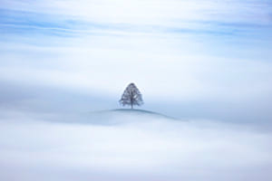 stand alone