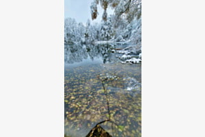 Am See