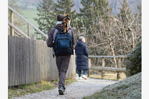 Unterwegs mit der Katze Unterwegs mit der Katze