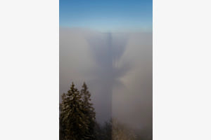 Schatten im Nebel Schatten im Nebel