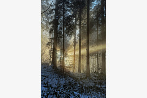 Nebelgrenze