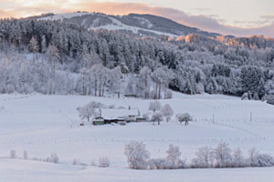 Winterlandschaft