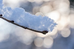 Schnee