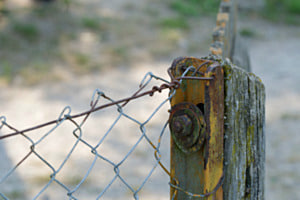 Alter Gartenzaun / Detail