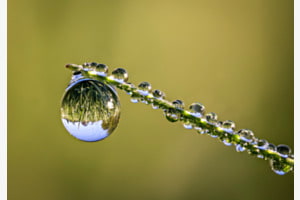 Gliltzern in der Natur